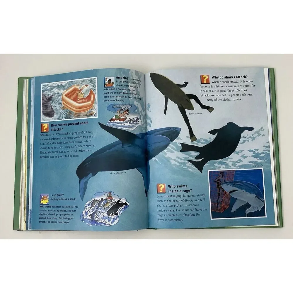 Wild Wild World Hardcover Book Questions And Answers 2004